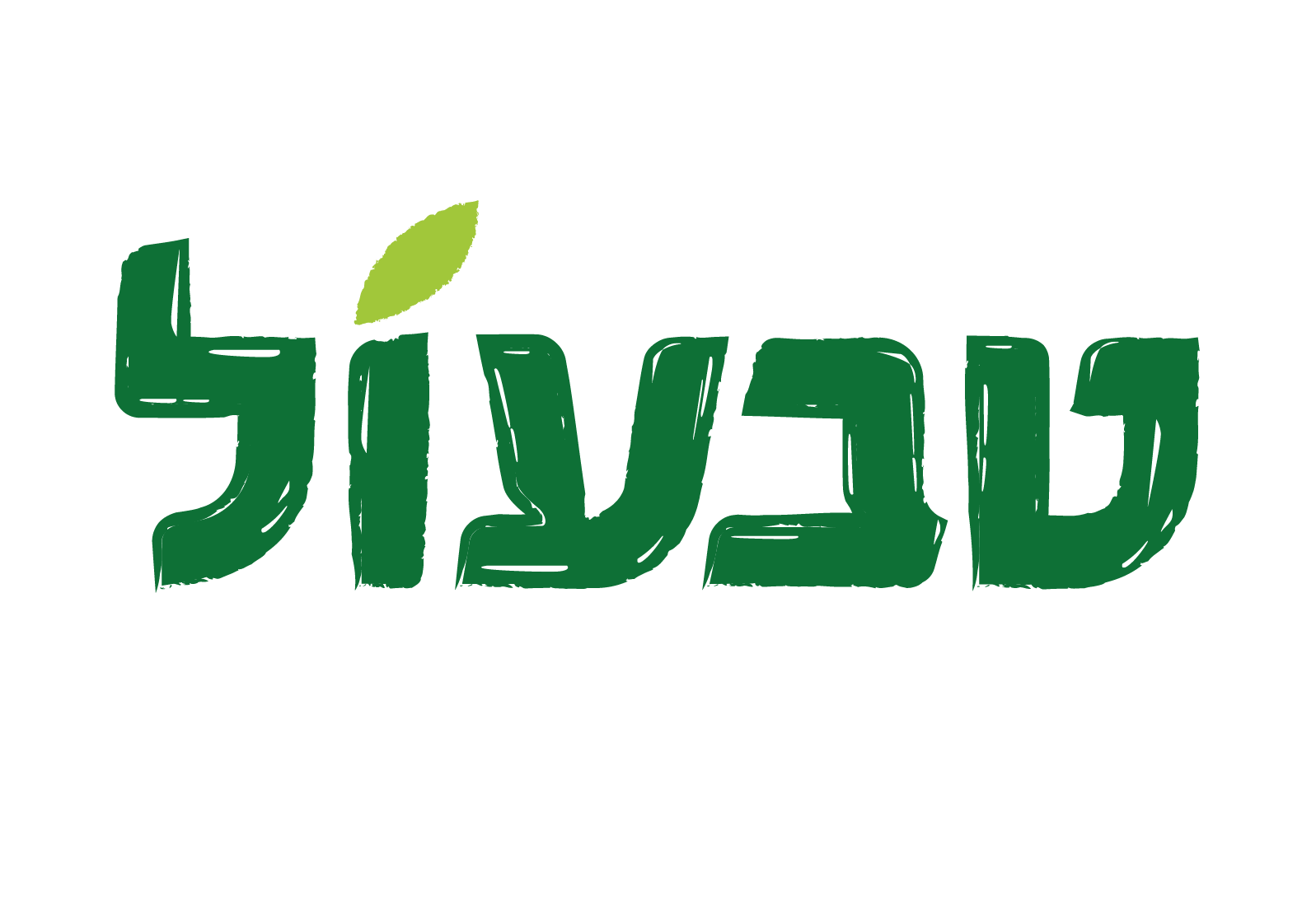 דף הבית